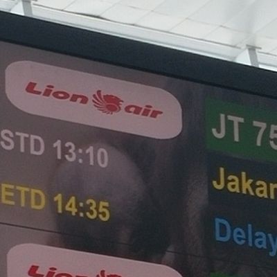 Lion Air Delay