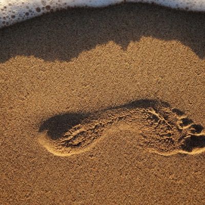 footprint