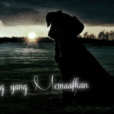 Puppy Wallpaperscraft dot com